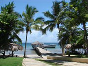 Urlaub unter Palmen Karibik